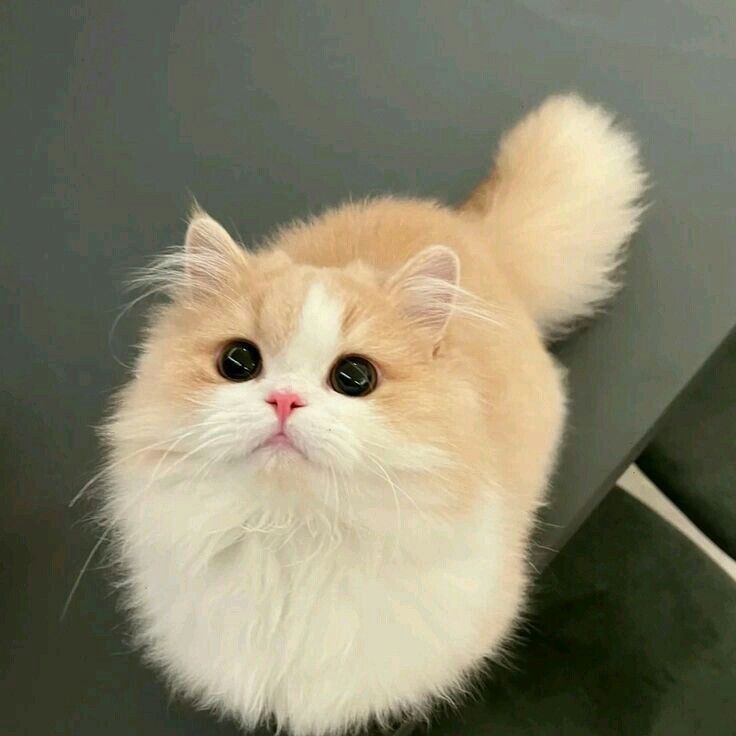 name