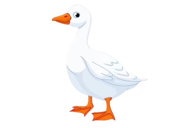 name